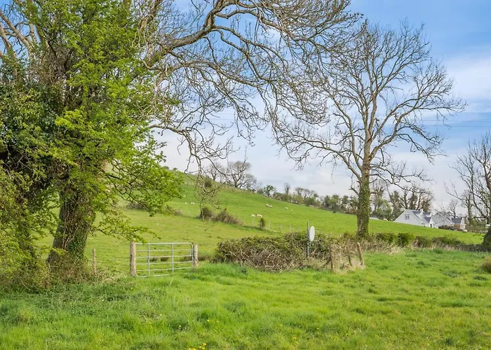 4 Bed In Rossnowlagh Oc-ii06781 Vakantiehuis Durnesh